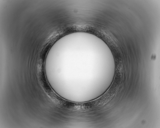 X0000099320744200805231424