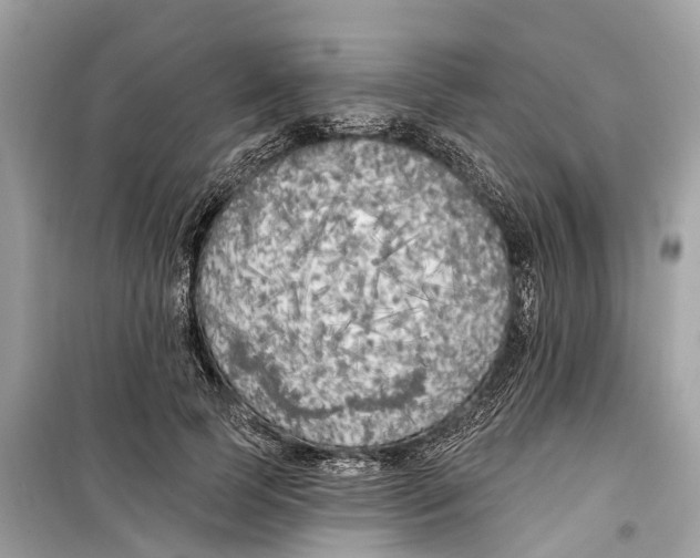 X0000099320745200805231424