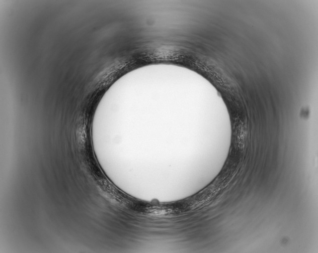 X0000099320746200805231424