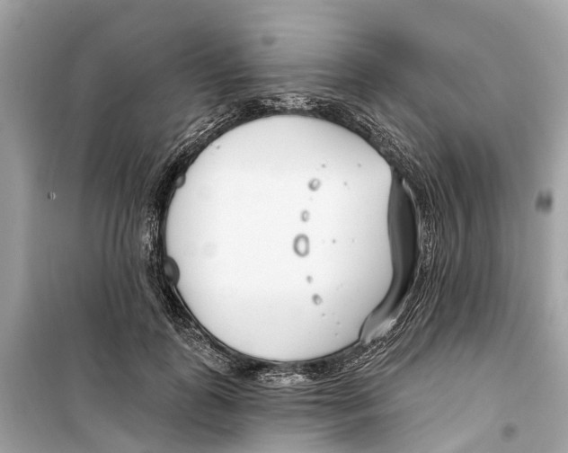 X0000099320747200805231424