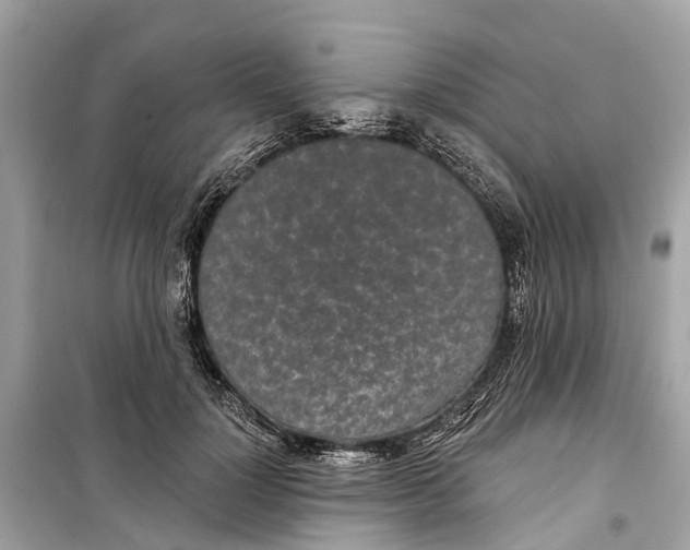 X0000099320748200805231424