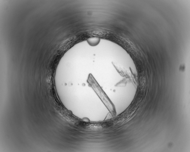 X0000099320749200805231424