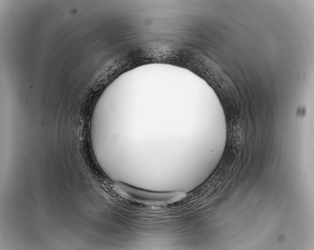 X0000099320750200805231424