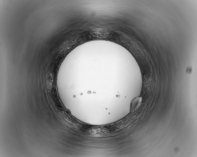 X0000099320752200805231424