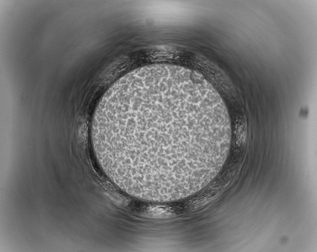 X0000099320753200805231424