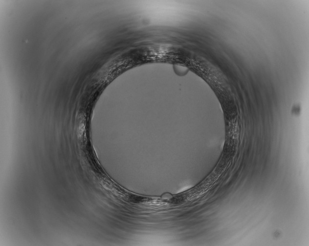 X0000099320754200805231424