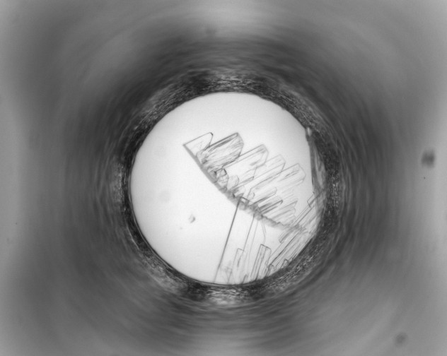 X0000099320757200805231424