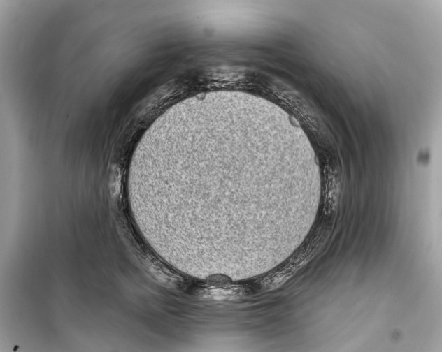 X0000099320758200805231424