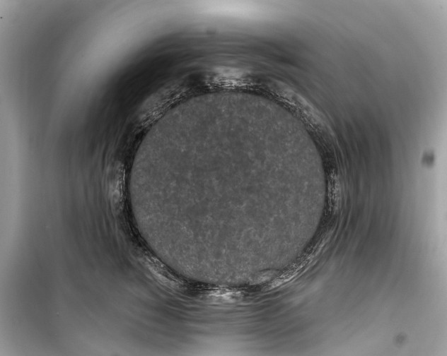 X0000099320760200805231424