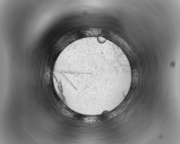 X0000099320761200805231424