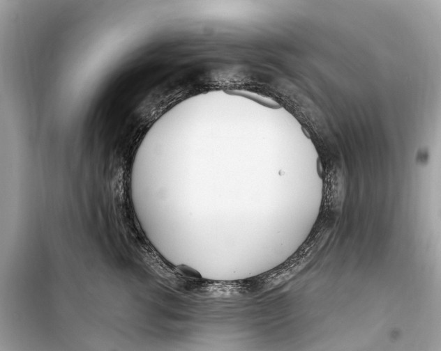 X0000099320762200805231424