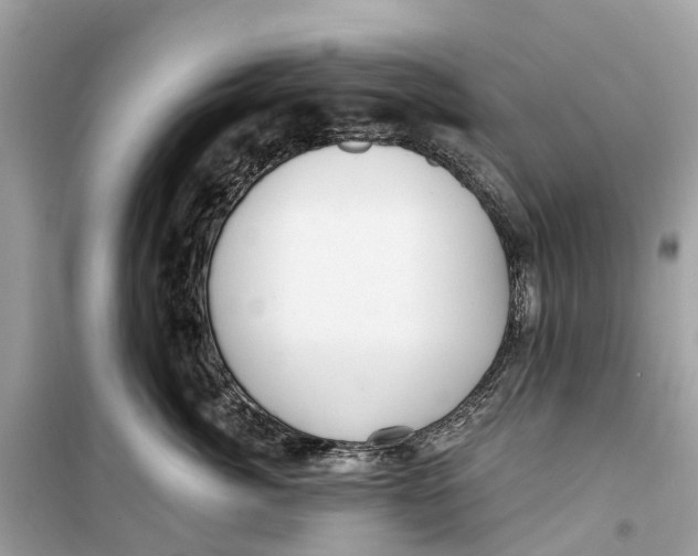 X0000099320764200805231424