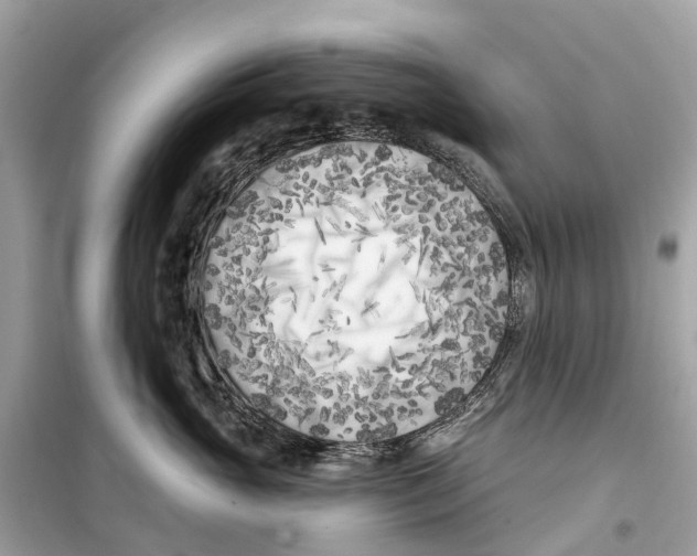 X0000099320765200805231425