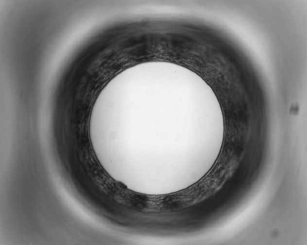 X0000099320766200805231425