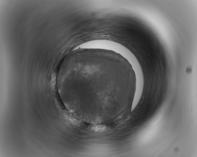 X0000099320767200805231425