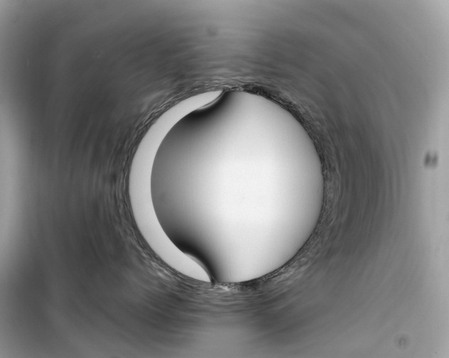 X0000099320768200805231425