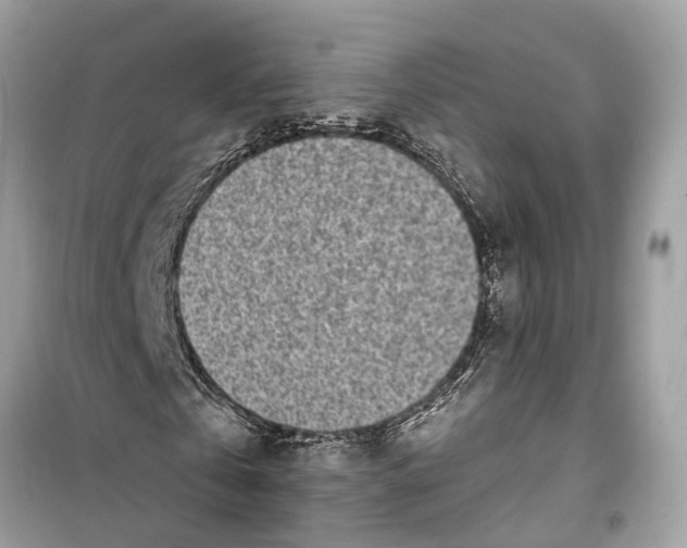 X0000099320769200805231424