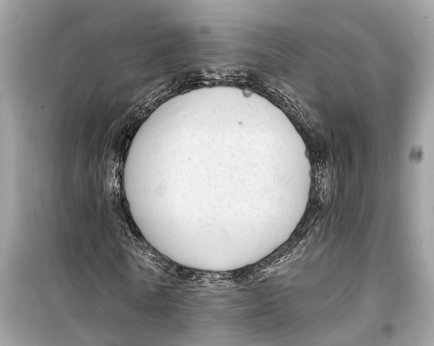 X0000099320770200805231424