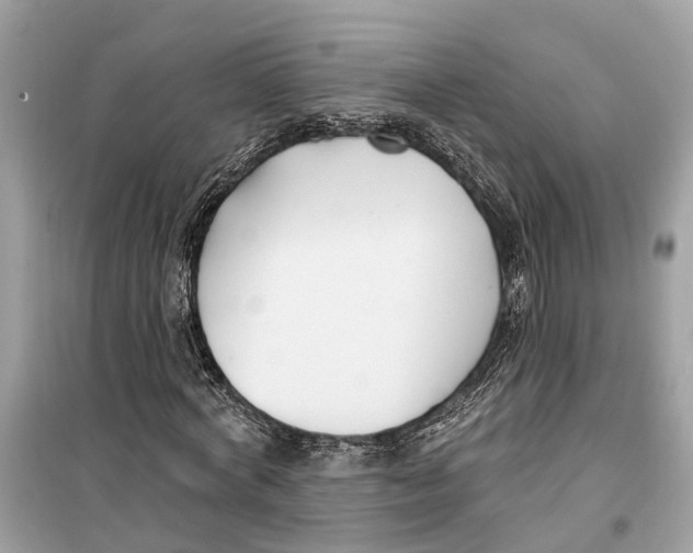 X0000099320772200805231424