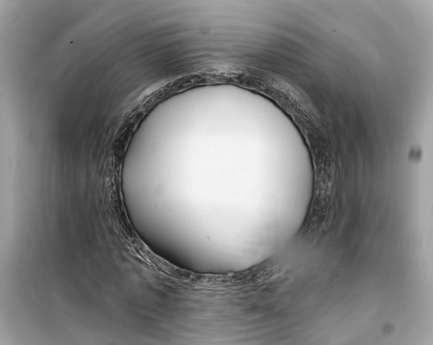 X0000099320773200805231424