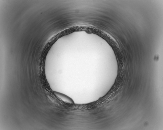 X0000099320775200805231424