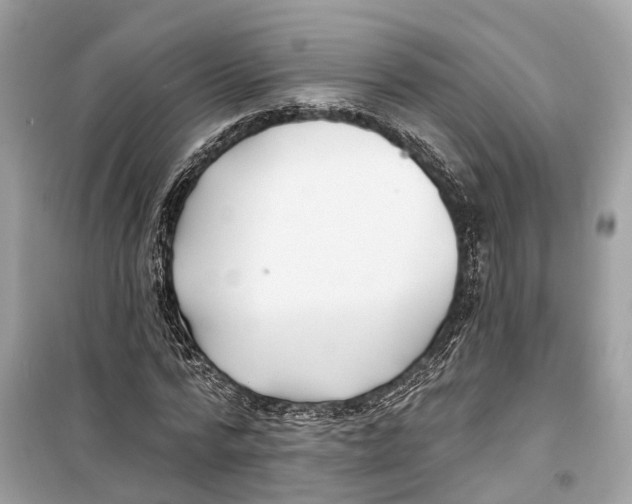 X0000099320776200805231424