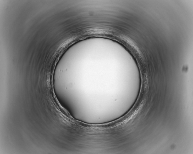 X0000099320777200805231424