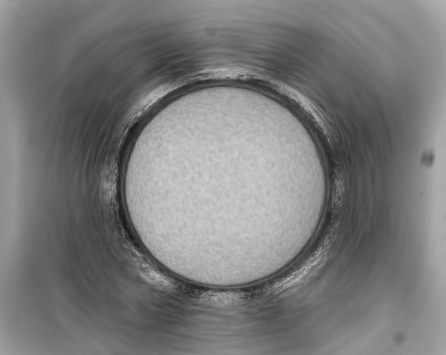 X0000099320778200805231424