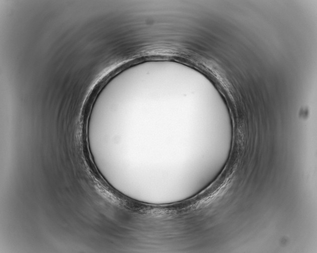 X0000099320779200805231424