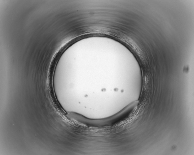 X0000099320780200805231424