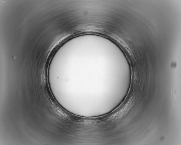 X0000099320782200805231424