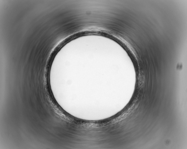 X0000099320783200805231424