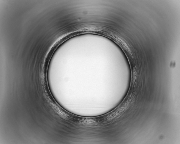 X0000099320784200805231424