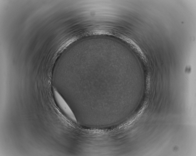 X0000099320785200805231424