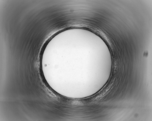 X0000099320787200805231424