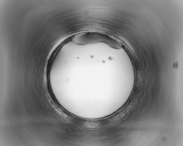 X0000099320788200805231424