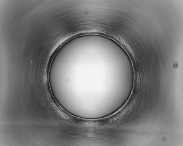 X0000099320789200805231424