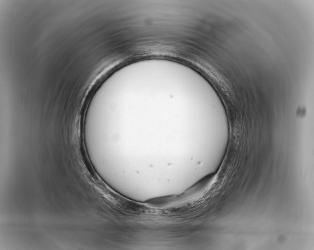 X0000099320790200805231424