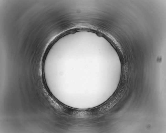 X0000099320791200805231424