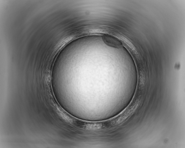 X0000099320793200805231424