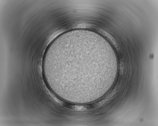 X0000099320794200805231423