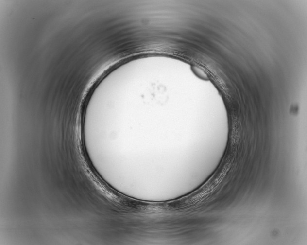 X0000099320796200805231423