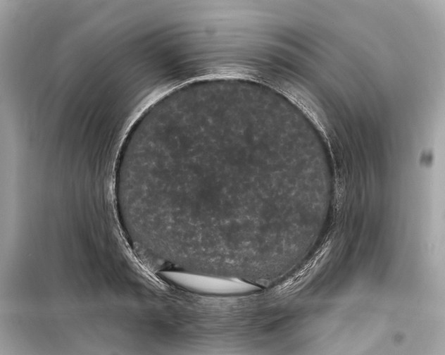 X0000099320797200805231423