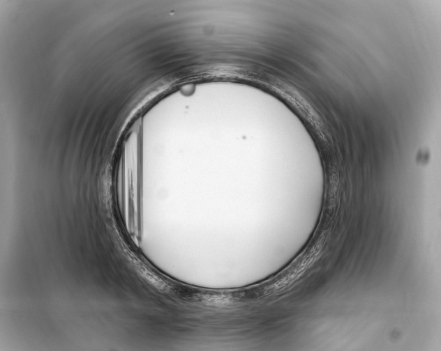 X0000099320798200805231423