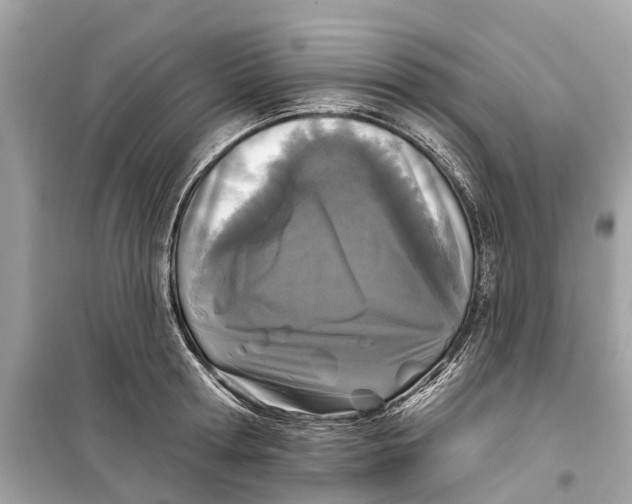 X0000099320802200805231423