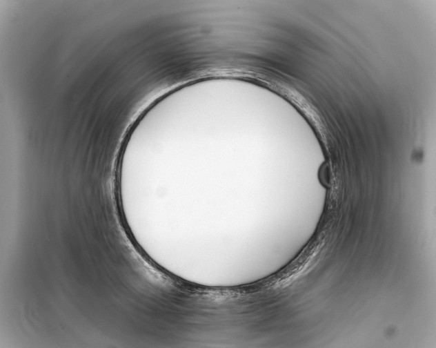 X0000099320803200805231423