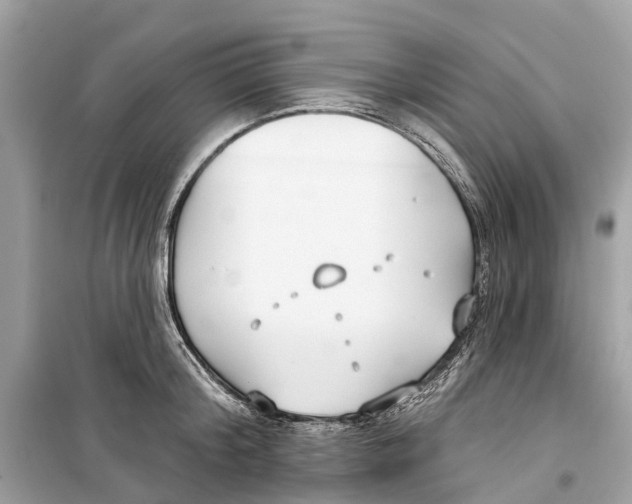 X0000099320804200805231423