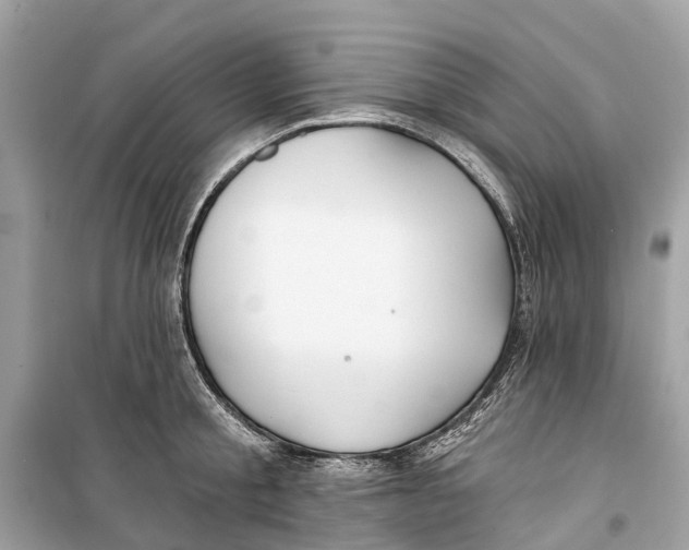 X0000099320805200805231423