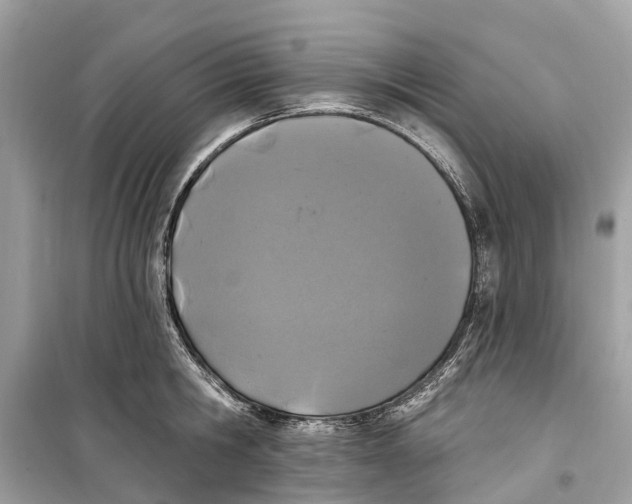 X0000099320806200805231423