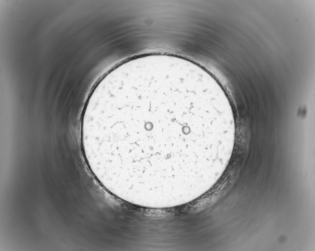 X0000099320807200805231423